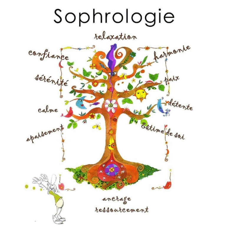 Nursing Palliatif : La sophrologie & les soins palliatifs.