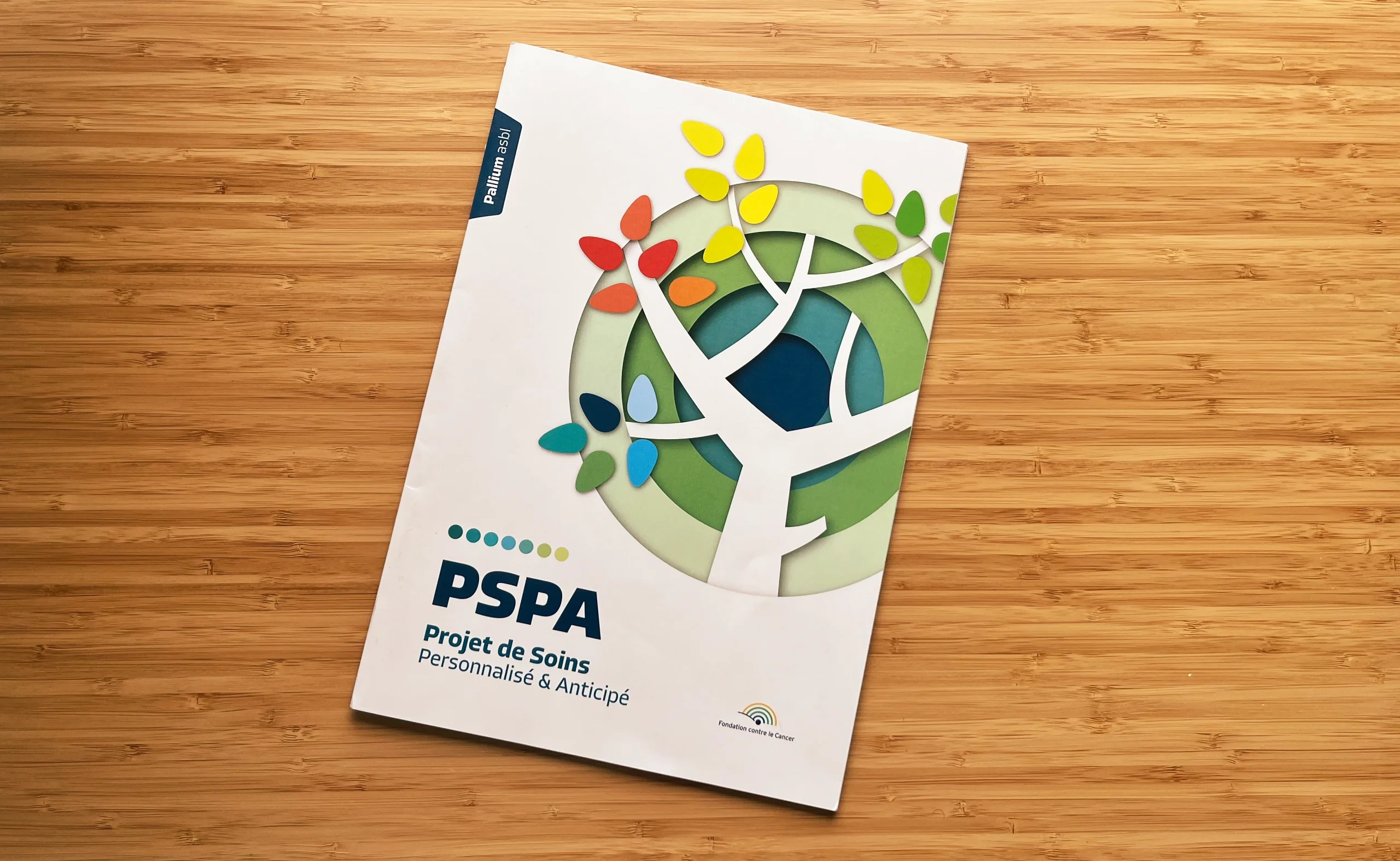 Les outils : Projet de Soins Personnalisé Anticipé (PSPA) (3h)